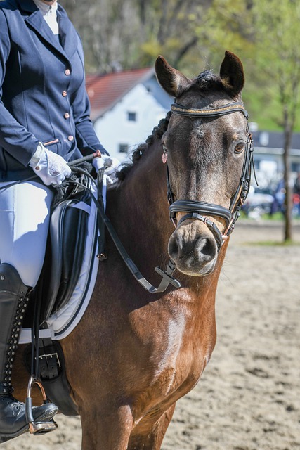 面打破了以 面打破了以