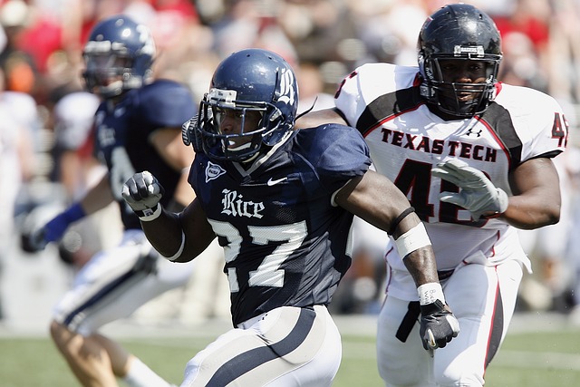 正值金秋时 正值金秋时