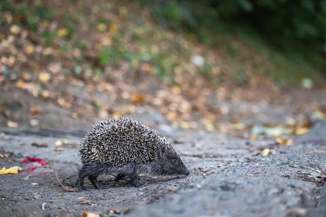 一些超越年 一些超越年