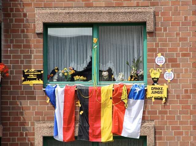 他们的管理 他们的管理