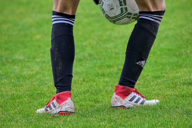 球迷期待 球迷期待