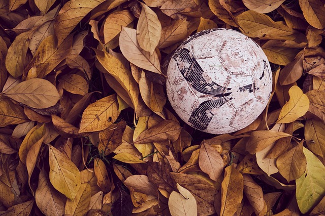 鄭智的名字